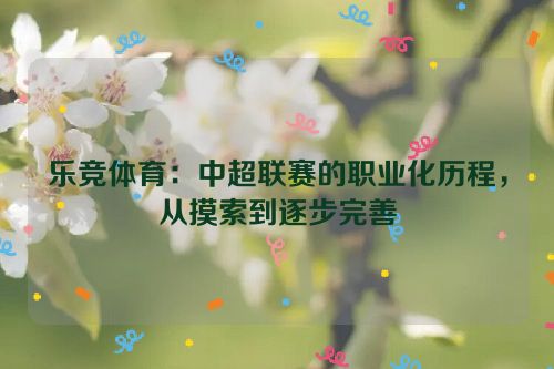 乐竞体育：中超联赛的职业化历程，从摸索到逐步完善