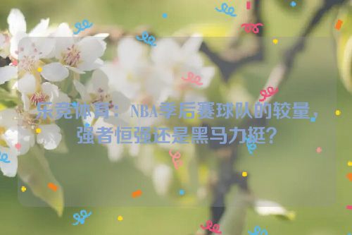 乐竞体育：NBA季后赛球队的较量，强者恒强还是黑马力挺？