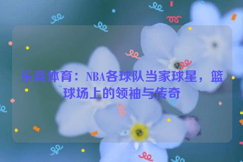 乐竞体育：NBA各球队当家球星，篮球场上的领袖与传奇