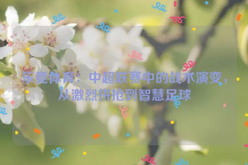 乐竞体育：中超联赛中的战术演变，从激烈拼抢到智慧足球