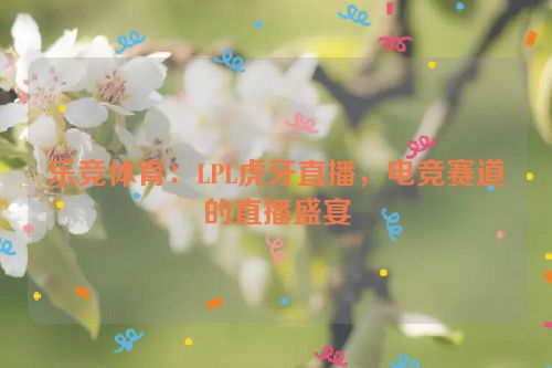 乐竞体育：LPL虎牙直播，电竞赛道的直播盛宴