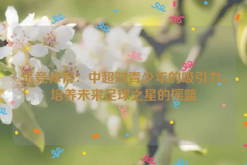 乐竞体育：中超对青少年的吸引力，培养未来足球之星的摇篮