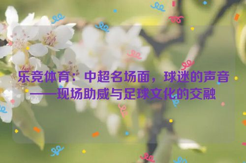 乐竞体育：中超名场面，球迷的声音——现场助威与足球文化的交融