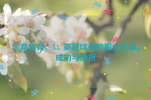 乐竞体育：53. 英超球员的职业生涯，成功与挫折