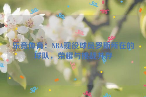 乐竞体育：NBA现役球员罗斯所在的球队，荣耀与挑战并存