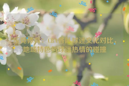 乐竞体育：CBA各队球迷文化对比，地域特色与球迷热情的碰撞