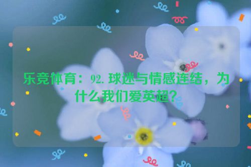 乐竞体育：92. 球迷与情感连结，为什么我们爱英超？