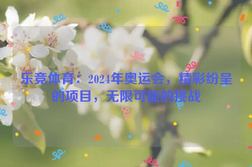 乐竞体育：2024年奥运会，精彩纷呈的项目，无限可能的挑战