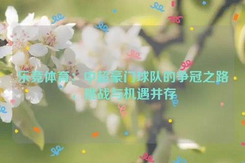 乐竞体育：中超豪门球队的争冠之路，挑战与机遇并存