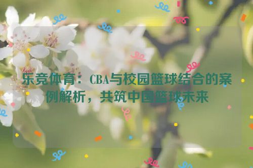 乐竞体育：CBA与校园篮球结合的案例解析，共筑中国篮球未来