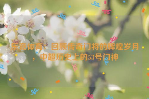 乐竞体育：回顾传奇门将的辉煌岁月，中超历史上的53号门神