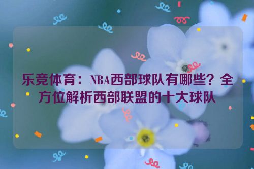 乐竞体育：NBA西部球队有哪些？全方位解析西部联盟的十大球队