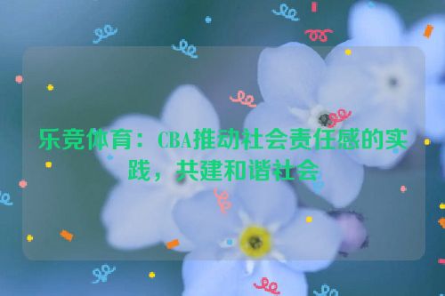 乐竞体育：CBA推动社会责任感的实践，共建和谐社会