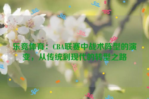 乐竞体育：CBA联赛中战术阵型的演变，从传统到现代的转型之路