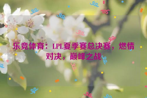 乐竞体育：LPL夏季赛总决赛，燃情对决，巅峰之战