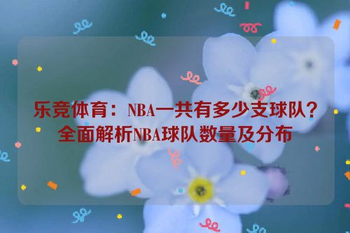 乐竞体育：NBA一共有多少支球队？全面解析NBA球队数量及分布