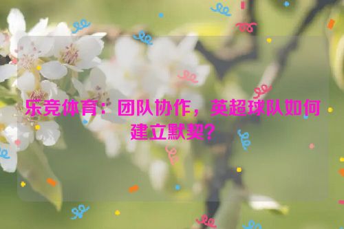 乐竞体育：团队协作，英超球队如何建立默契？