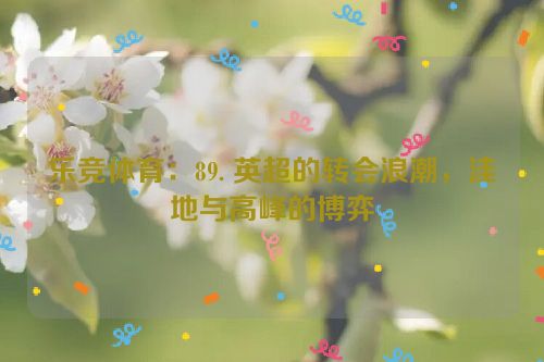 乐竞体育：89. 英超的转会浪潮，洼地与高峰的博弈